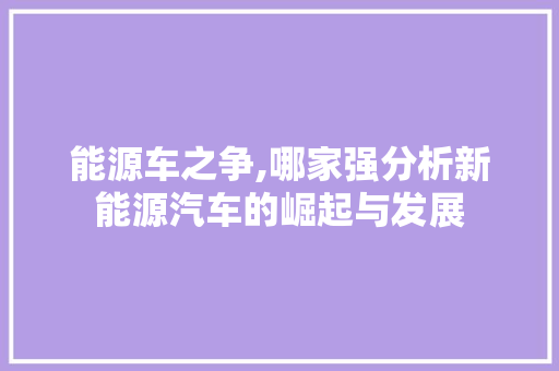 能源车之争,哪家强分析新能源汽车的崛起与发展