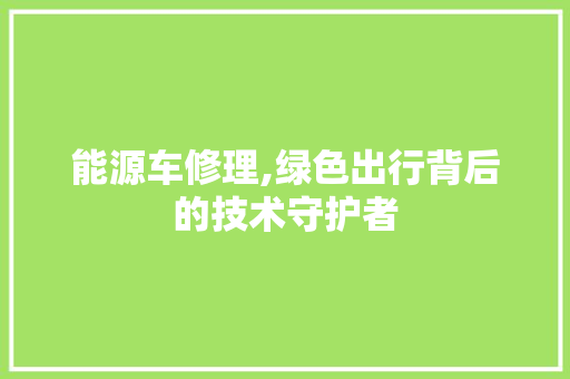 能源车修理,绿色出行背后的技术守护者