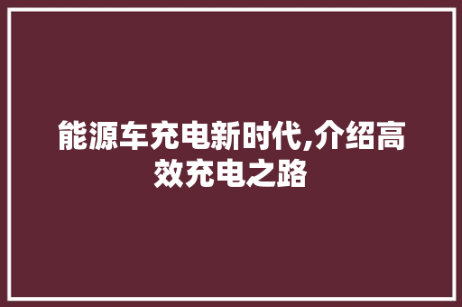 能源车充电新时代,介绍高效充电之路
