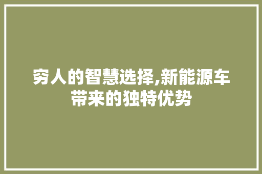穷人的智慧选择,新能源车带来的独特优势