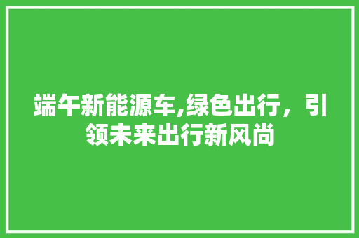 端午新能源车,绿色出行，引领未来出行新风尚