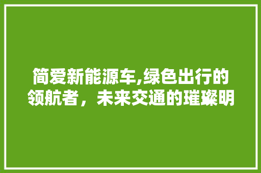 简爱新能源车,绿色出行的领航者，未来交通的璀璨明珠