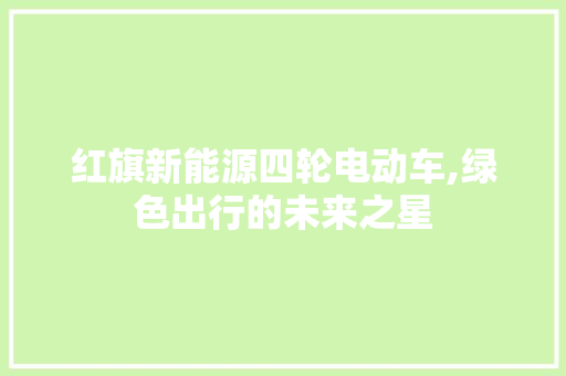 红旗新能源四轮电动车,绿色出行的未来之星 车载导航