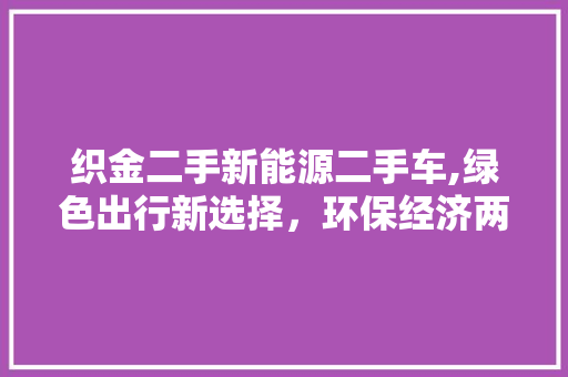 织金二手新能源二手车,绿色出行新选择，环保经济两不误