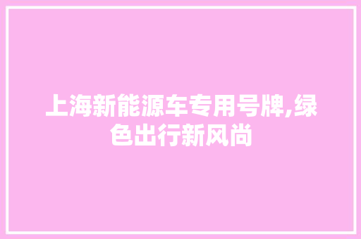 上海新能源车专用号牌,绿色出行新风尚