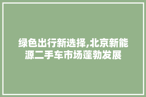 绿色出行新选择,北京新能源二手车市场蓬勃发展