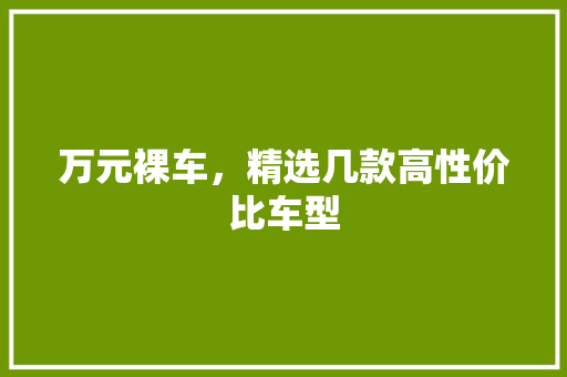 万元裸车，精选几款高性价比车型