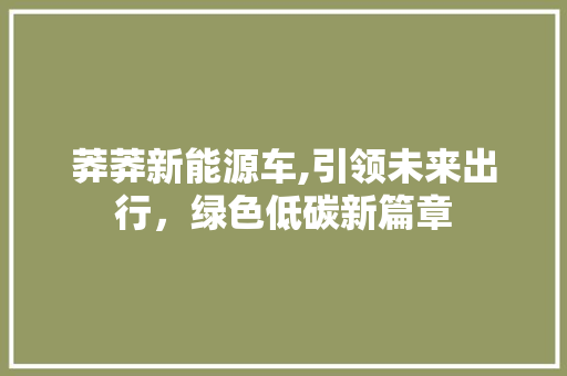 莽莽新能源车,引领未来出行，绿色低碳新篇章 车型评测