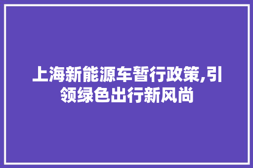 上海新能源车暂行政策,引领绿色出行新风尚