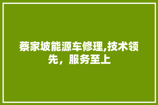 蔡家坡能源车修理,技术领先，服务至上 新能源汽车