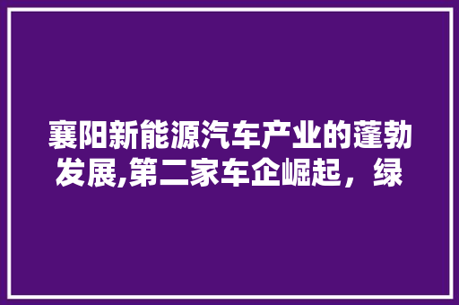襄阳新能源汽车产业的蓬勃发展,第二家车企崛起，绿色未来可期