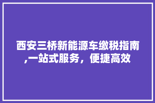 西安三桥新能源车缴税指南,一站式服务，便捷高效
