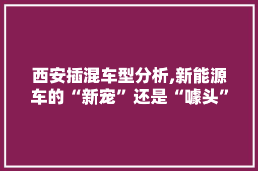 西安插混车型分析,新能源车的“新宠”还是“噱头”