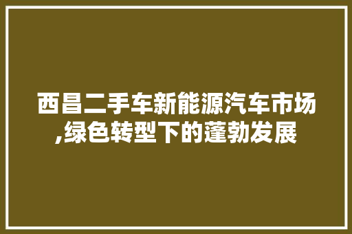西昌二手车新能源汽车市场,绿色转型下的蓬勃发展