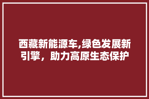 西藏新能源车,绿色发展新引擎，助力高原生态保护