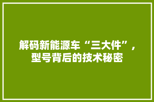 解码新能源车“三大件”,型号背后的技术秘密