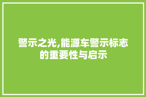 警示之光,能源车警示标志的重要性与启示
