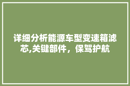 详细分析能源车型变速箱滤芯,关键部件，保驾护航