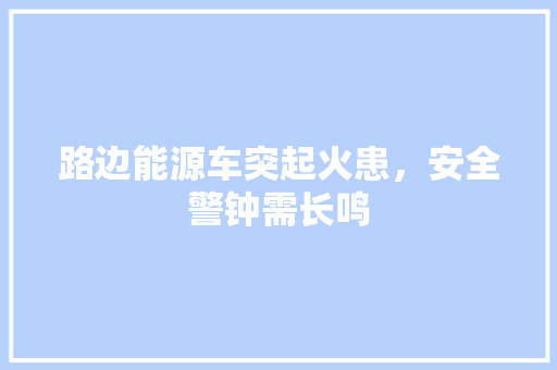 路边能源车突起火患，安全警钟需长鸣 车型评测