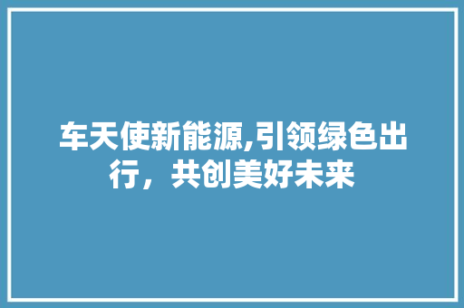 车天使新能源,引领绿色出行，共创美好未来