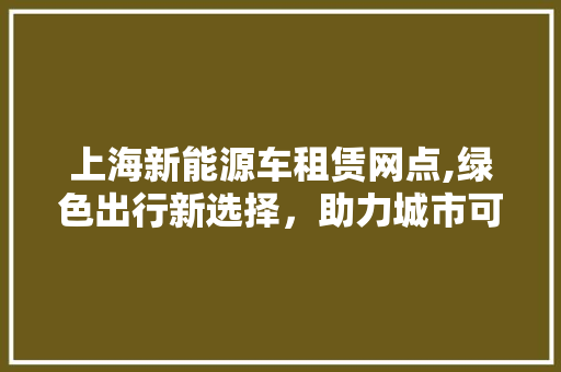 上海新能源车租赁网点,绿色出行新选择，助力城市可持续发展