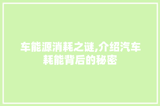 车能源消耗之谜,介绍汽车耗能背后的秘密