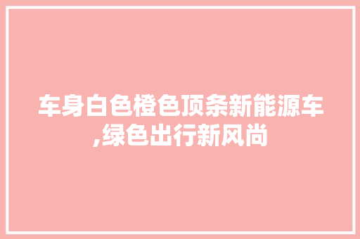 车身白色橙色顶条新能源车,绿色出行新风尚