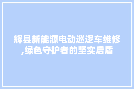 辉县新能源电动巡逻车维修,绿色守护者的坚实后盾