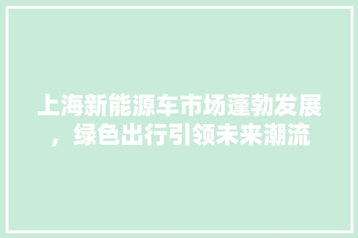 上海新能源车市场蓬勃发展，绿色出行引领未来潮流