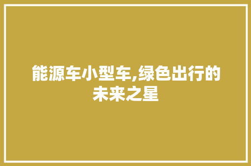 能源车小型车,绿色出行的未来之星