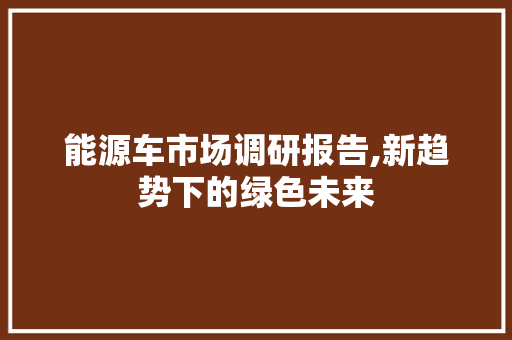 能源车市场调研报告,新趋势下的绿色未来