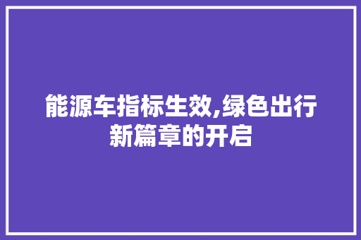 能源车指标生效,绿色出行新篇章的开启 新车资讯