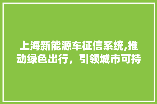 上海新能源车征信系统,推动绿色出行，引领城市可持续发展