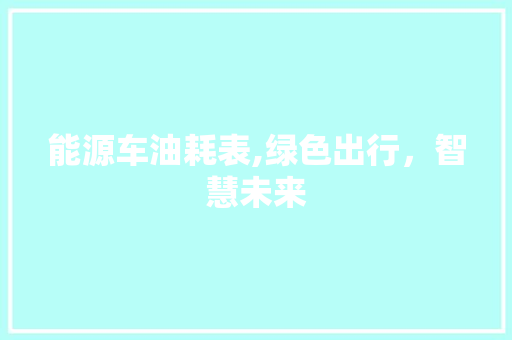 能源车油耗表,绿色出行，智慧未来