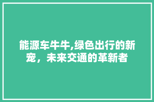 能源车牛牛,绿色出行的新宠，未来交通的革新者