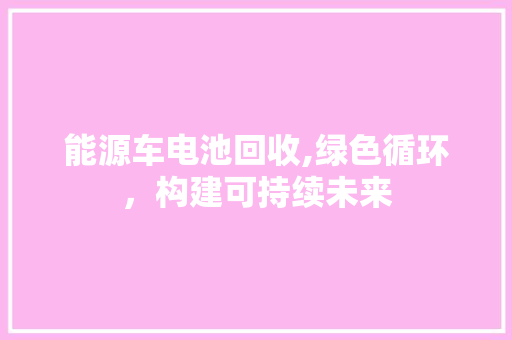 能源车电池回收,绿色循环，构建可持续未来