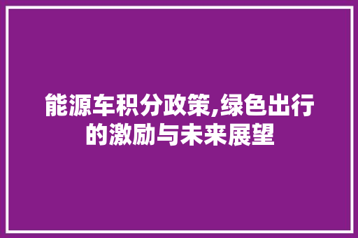能源车积分政策,绿色出行的激励与未来展望
