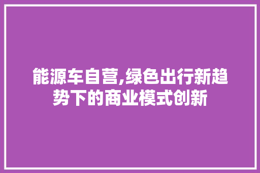 能源车自营,绿色出行新趋势下的商业模式创新 汽车轮胎