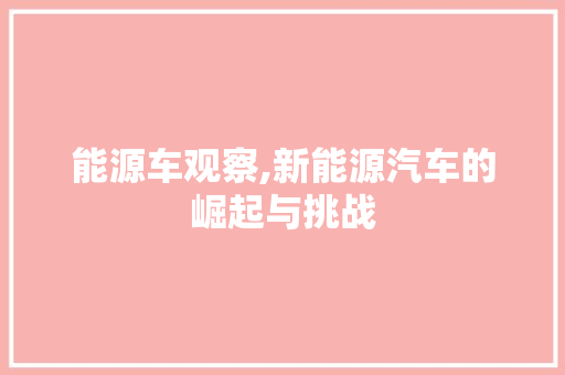 能源车观察,新能源汽车的崛起与挑战