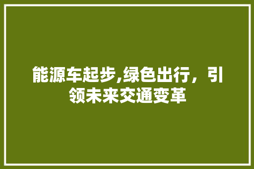 能源车起步,绿色出行，引领未来交通变革