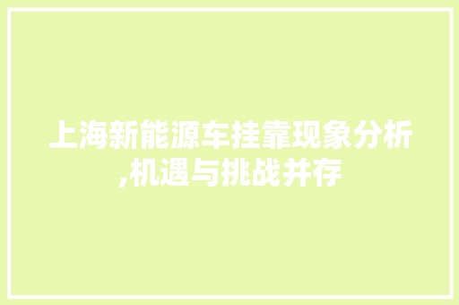 上海新能源车挂靠现象分析,机遇与挑战并存 新车资讯