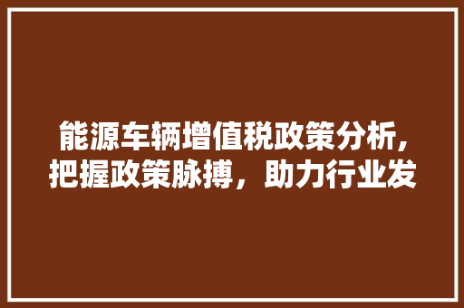 能源车辆增值税政策分析,把握政策脉搏，助力行业发展