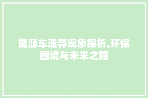 能源车遗弃现象探析,环保困境与未来之路