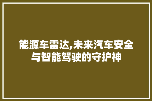 能源车雷达,未来汽车安全与智能驾驶的守护神