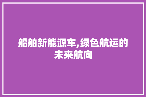 船舶新能源车,绿色航运的未来航向
