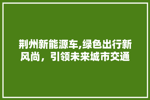 荆州新能源车,绿色出行新风尚，引领未来城市交通