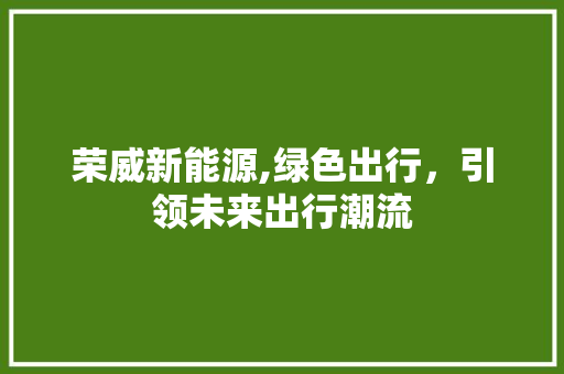 荣威新能源,绿色出行，引领未来出行潮流