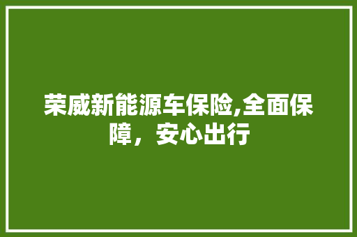 荣威新能源车保险,全面保障，安心出行