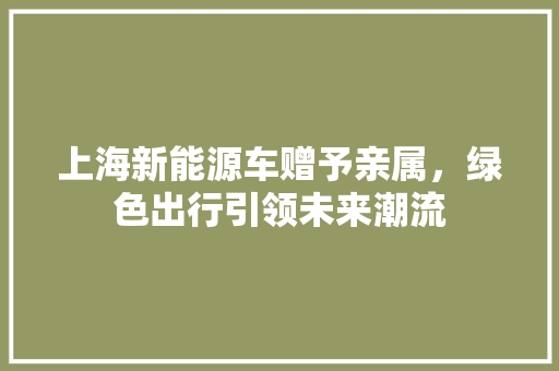 上海新能源车赠予亲属，绿色出行引领未来潮流 混合动力车