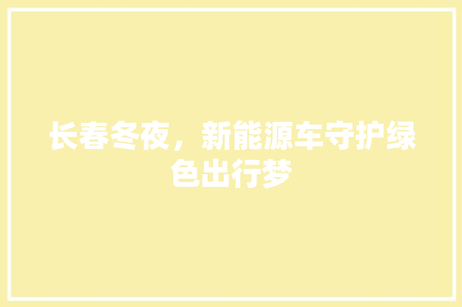 长春冬夜，新能源车守护绿色出行梦